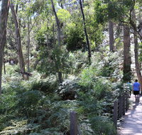 Self-Guided Waterfall Gully to Mount Lofty Hike from Adelaide - Hotel QLD