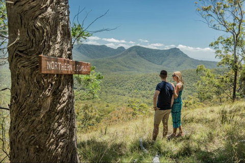 Queensland Food Tour: The Ultimate Delectable Full Day Experience - Hotel QLD 1