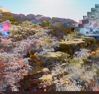 Kings Canyon Day Trip from Ayers Rock - Hotel QLD