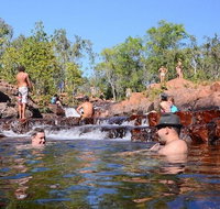 Litchfield and Jumping Crocodiles Full Day Trip from Darwin - Hotel QLD