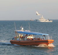 1-Hour Darwin Harbour Highlights Cruise - Hotel QLD