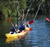 Kayak and SUP Guided Tours - Hotel QLD