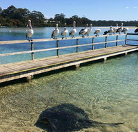 The Eurobodalla Experience Full day private tour including lunch