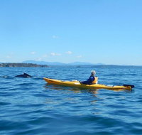 Whale Watching by Sea Kayak in Batemans Bay