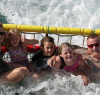 Jervis Bay Boom Netting and Dolphins Tour - Hotel QLD
