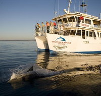Jervis Bay Dolphin Watch Cruise - Hotel QLD