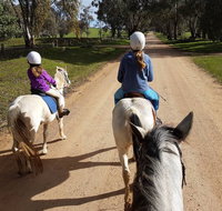 Bits and Boots Pony Rides - Hotel QLD