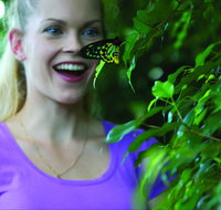Coffs Harbour Butterfly House