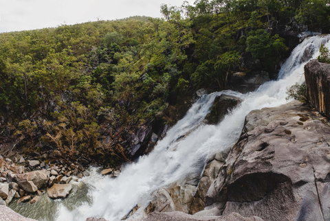 Davies Creek National Park And Dinden National Park - Hotel QLD 0