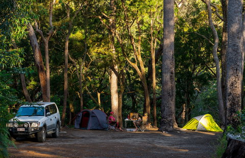 Davies Creek National Park And Dinden National Park - Hotel QLD 1