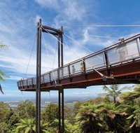 Forest Sky Pier Sealy Lookout - Hotel QLD