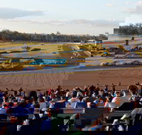Ipswich Motorsport Precinct