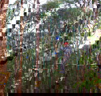 Kinglake Forest Adventures