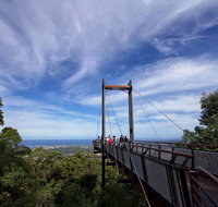 Orara East State Forest