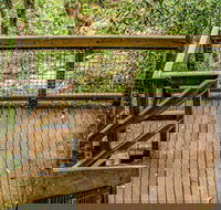 Somersby Falls walking track - Hotel QLD