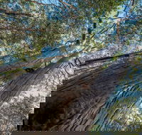 Wallumatta Nature Reserve - Hotel QLD