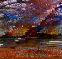 Bells Parade Reserve - Hotel QLD