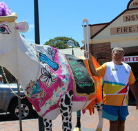 Daisy the Decorated Dairy Cow - Hotel QLD