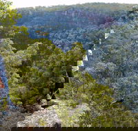 Glenbrook Gorge Track - Hotel QLD