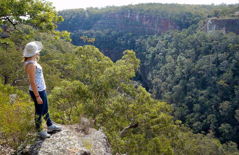 Glenbrook Gorge Track - Hotel QLD 0