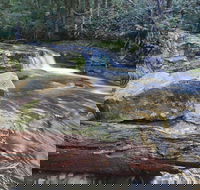 Liffey Falls Reserve - Hotel QLD