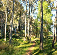 Square Head Track 1