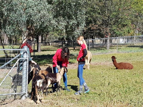 Animal Farm Visit - Hotel QLD 1