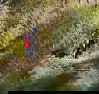 Australian Arid Lands Botanic Garden - Hotel QLD