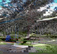 Barrington Tops State Forest - Hotel QLD