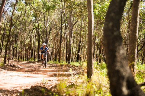 Davies Creek Mountain Bike Park - Hotel QLD 1