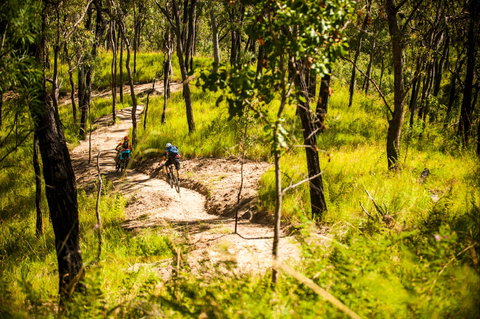 Davies Creek Mountain Bike Park - Hotel QLD 2