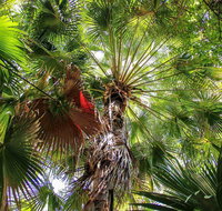 Depot Beach Rainforest Walk