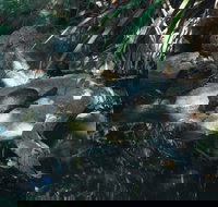 Howard Springs Nature Park