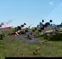 Jim Salmon  Wetland Education Site - Hotel QLD