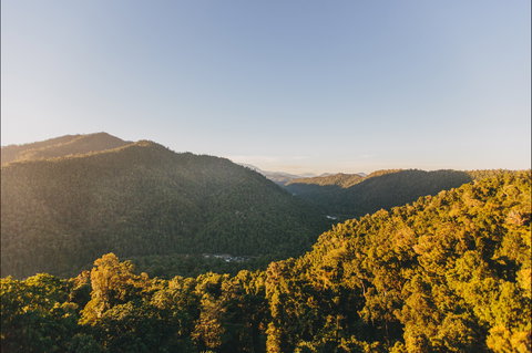 Mamu Tropical Skywalk - Hotel QLD 1