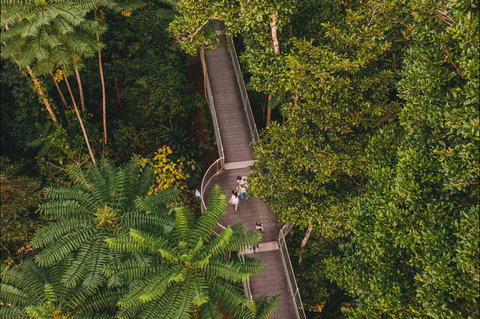 Mamu Tropical Skywalk - Hotel QLD 2