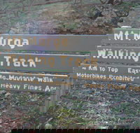 Mount Murga Walking Track - Hotel QLD