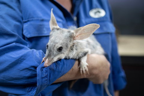 9 Day Outback Adventure - Hotel QLD 0