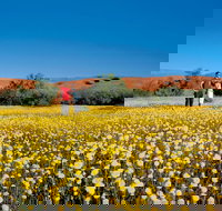 Coorow Farm Wildflower Trail - Hotel QLD