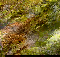 Girrakool loop track - Hotel QLD