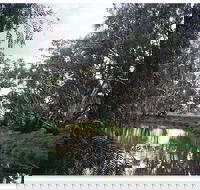 Henty Government Dam Nature Reserve - Hotel QLD