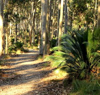 Square Head Track 2