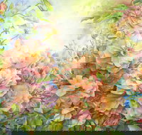 Barossa Chateau Artist in Residence