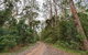 End Peak Walking Track - thumb 0