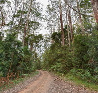 End Peak walking track - Hotel QLD