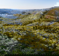 Gold Coast Hinterland Great Walk - Hotel QLD