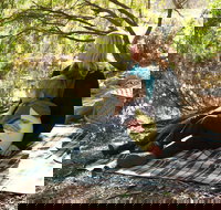 Haig Street Quarry Bushland Reserve Trails - Hotel QLD