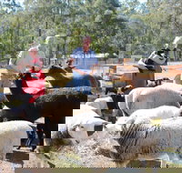 Haigslea EWE Nique Hobby Farm