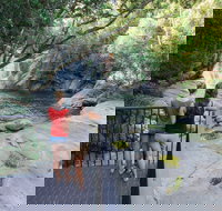 Josephine Falls walking track Wooroonooran National Park - Hotel QLD