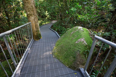 Josephine Falls Walking Track, Wooroonooran National Park - Hotel QLD 2